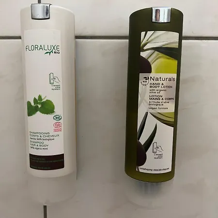 Medaillon ماغديبورغ