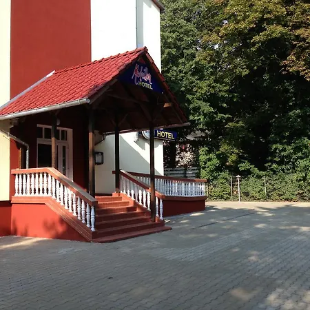 Medaillon 3* Magdeburg